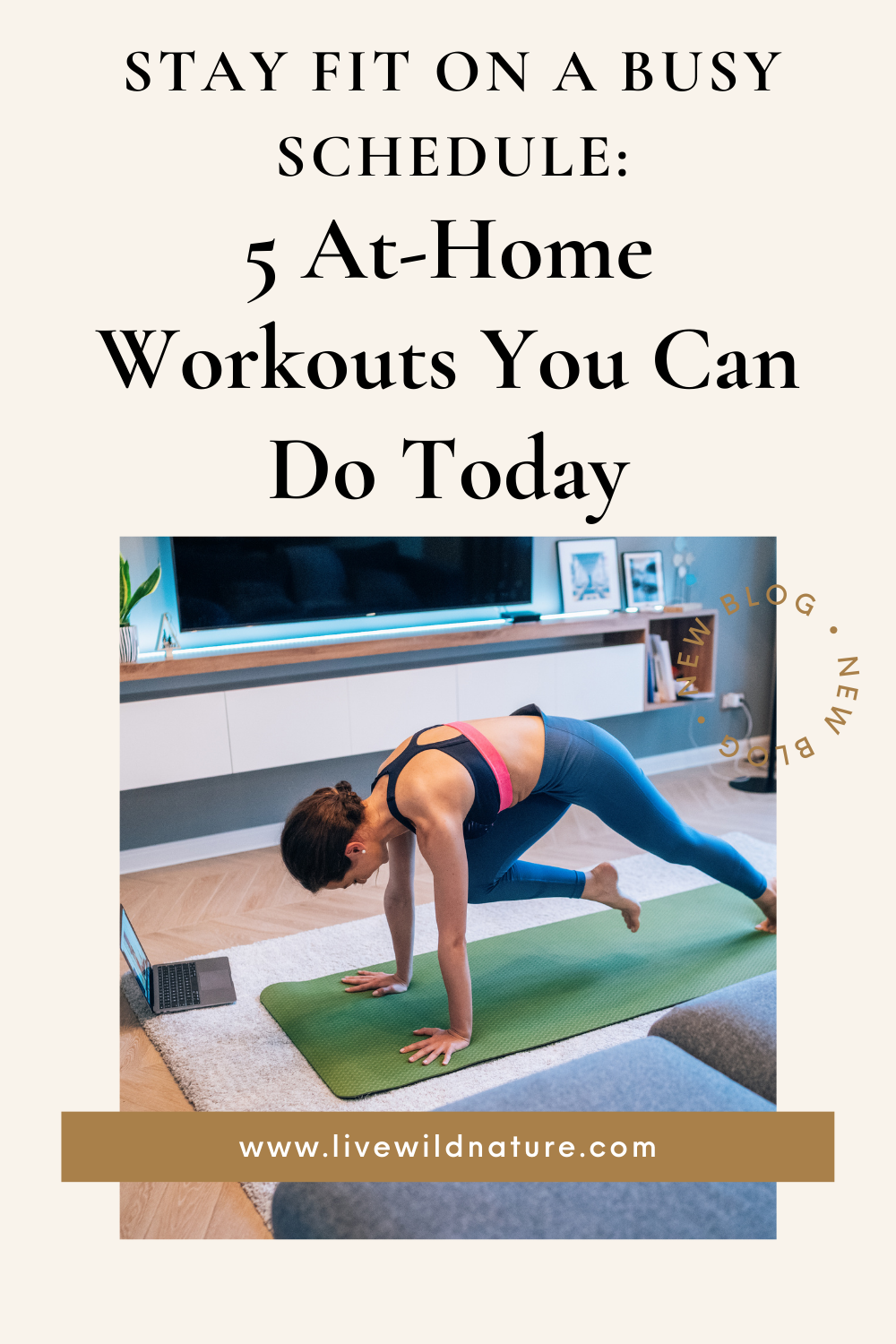 Stay fit on a busy schedule 5 at home workouts