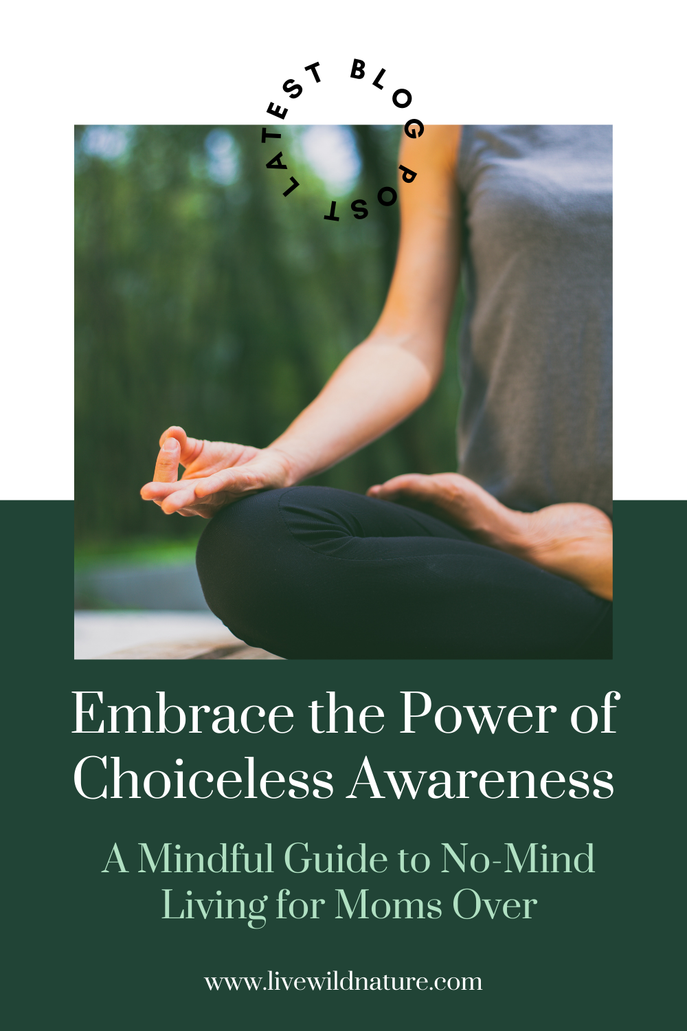 embrace the power of choiceless awareness