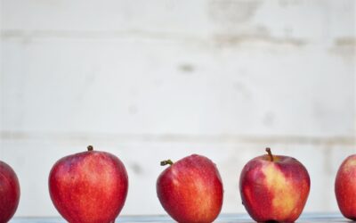 How To Pack School Lunches That Your Kids Will Actually Eat